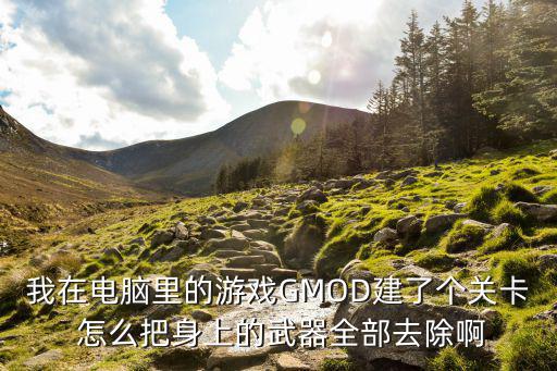 我在电脑里的游戏GMOD建了个关卡 怎么把身上的武器全部去除啊