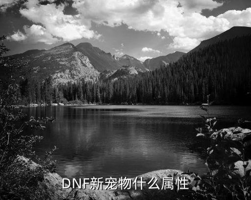 DNF新宠物什么属性