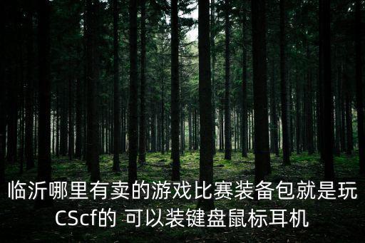 临沂哪里有卖的游戏比赛装备包就是玩CScf的 可以装键盘鼠标耳机