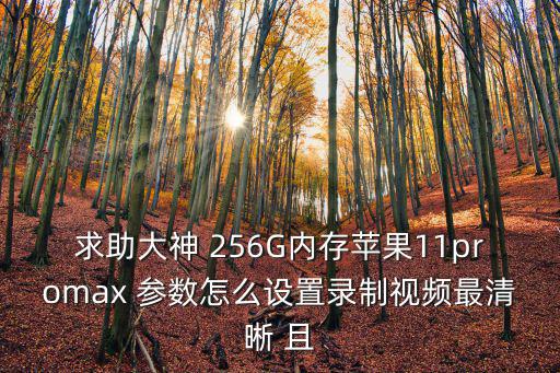 求助大神 256G内存苹果11promax 参数怎么设置录制视频最清晰 且