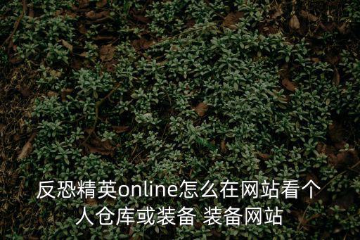 反恐精英online怎么在网站看个人仓库或装备 装备网站