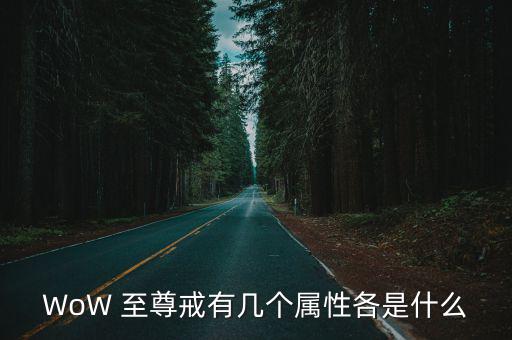 WoW 至尊戒有几个属性各是什么