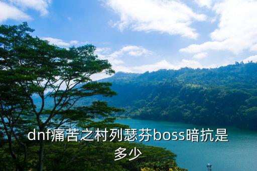 dnf痛苦之村列瑟芬boss暗抗是多少