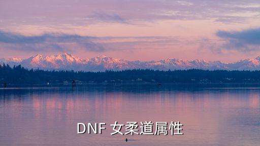 dnf柔道是什么主属性，我DNF柔道是什么属性 抗性的