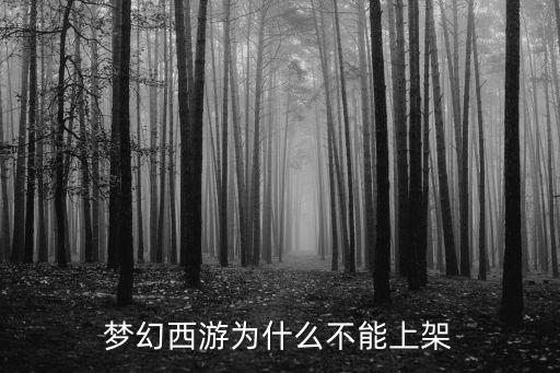 梦幻西游为什么不能上架