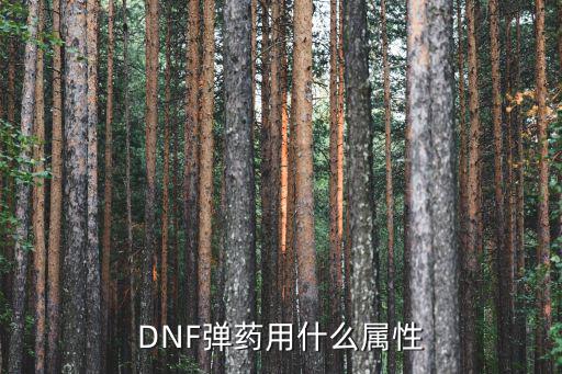 DNF弹药用什么属性