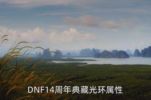 DNF14周年典藏光环属性