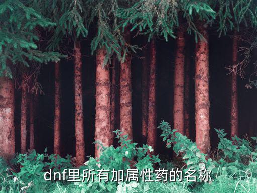 dnf里所有加属性药的名称