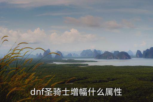 dnf圣骑士增幅什么属性