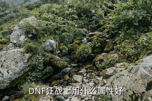 DNF狂战士用什么属性好