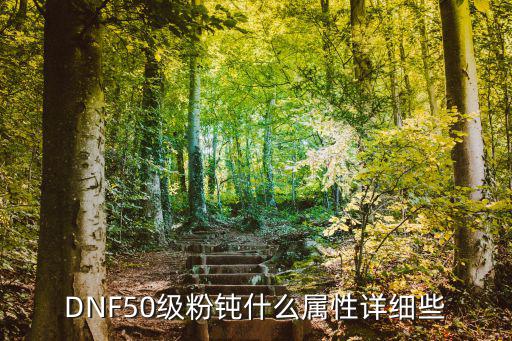 DNF50级粉钝什么属性详细些