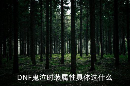 DNF鬼泣时装属性具体选什么