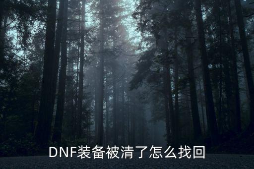 DNF装备被清了怎么找回