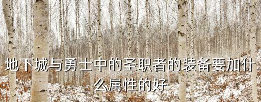 dnf圣职者增幅什么属性，地下城与勇士中的圣职者的装备要加什么属性的好