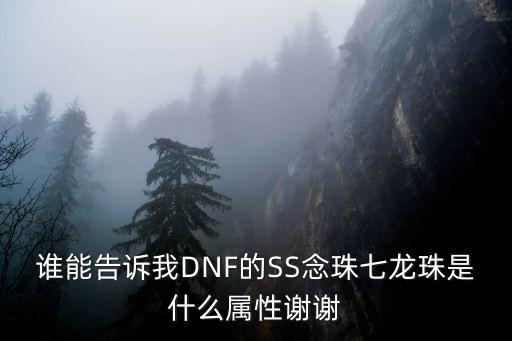 谁能告诉我DNF的SS念珠七龙珠是什么属性谢谢