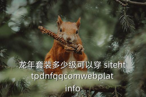 dnf龙年套装加什么属性，龙年套装多少级可以穿 sitehttpdnfqqcomwebplatinfo