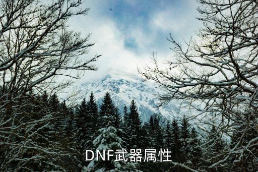 DNF武器属性