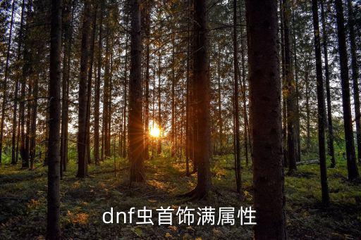 dnf虫首饰满属性