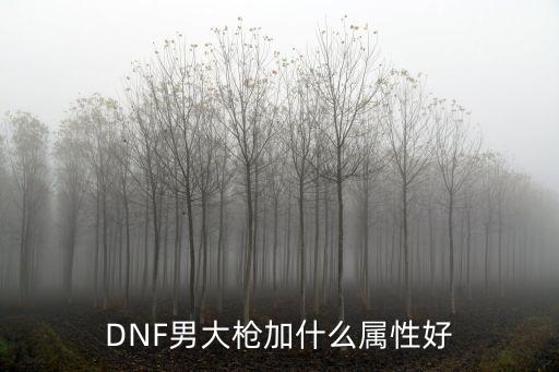 DNF男大枪加什么属性好