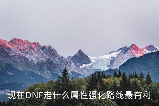 dnf专家要什么属性强化，DNF哪些职业需要属性强化