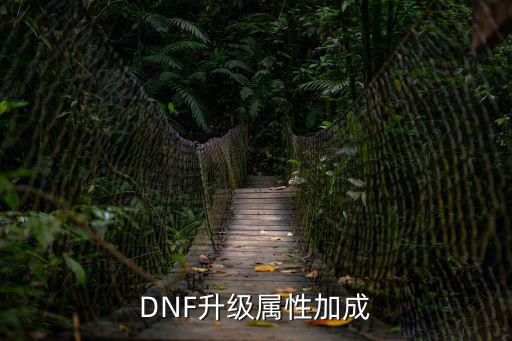 dnf锻造满级加什么属性，DNF升级属性加成