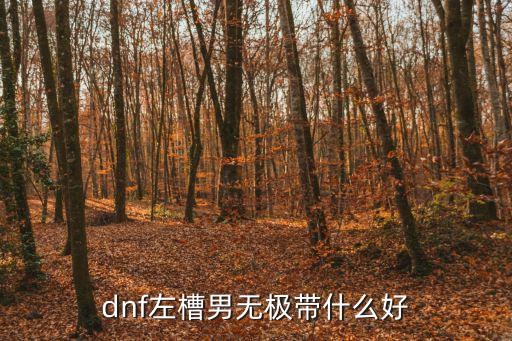 dnf男无极走什么属性，dnf左槽男无极带什么好