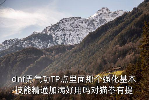 dnf男气功TP点里面那个强化基本技能精通加满好用吗对猫拳有提