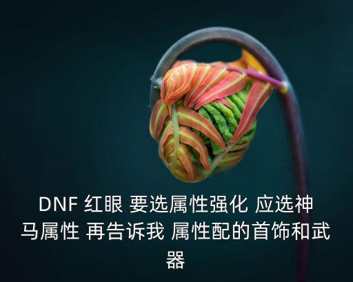 DNF 红眼 要选属性强化 应选神马属性 再告诉我 属性配的首饰和武器