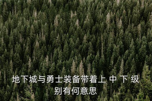 地下城与勇士装备带着上 中 下 级别有何意思