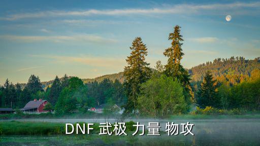 DNF 武极 力量 物攻