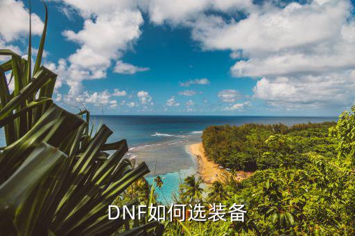 DNF如何选装备