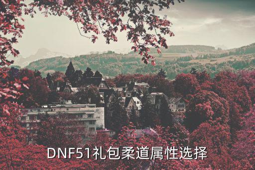 DNF51礼包柔道属性选择