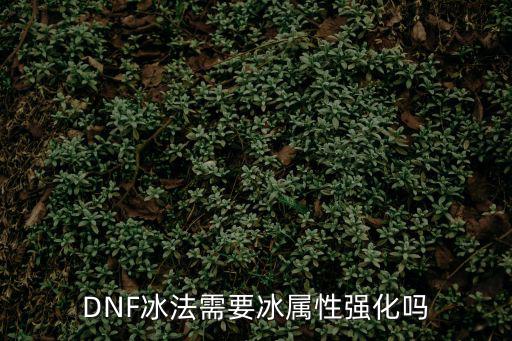 DNF冰法需要冰属性强化吗