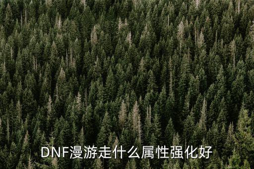 DNF漫游走什么属性强化好