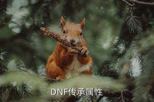 DNF传承属性