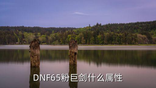 DNF65粉巨剑什么属性