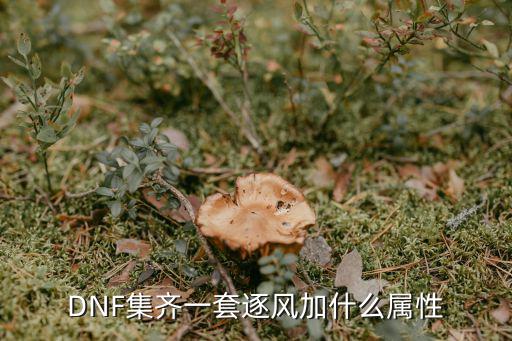 dnf风法师要什么属性，法师属性加什么