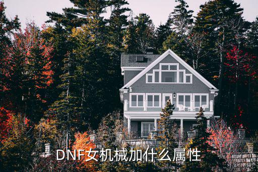 DNF女机械加什么属性