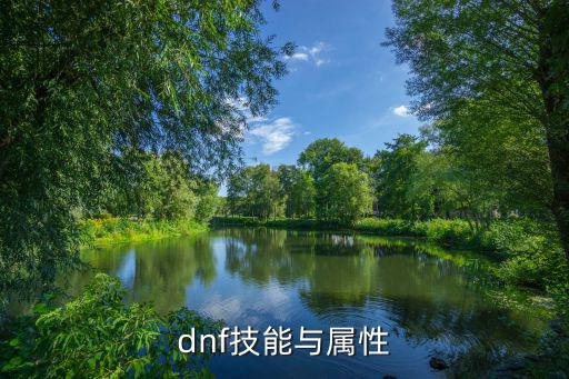 dnf技能属性根据什么来，dnf技能属性