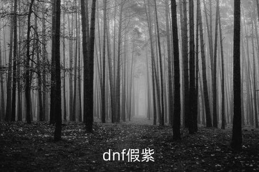 dnf假紫