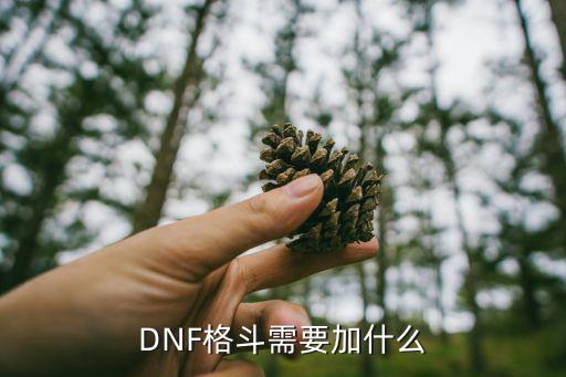 DNF格斗需要加什么