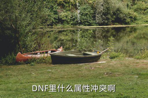 dnf都什么属性有冲突，DNF里什么属性冲突啊