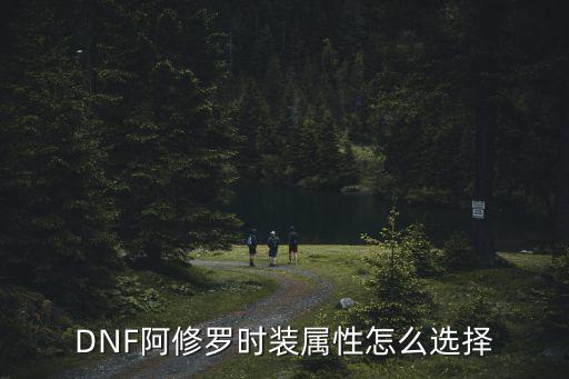 DNF阿修罗时装属性怎么选择