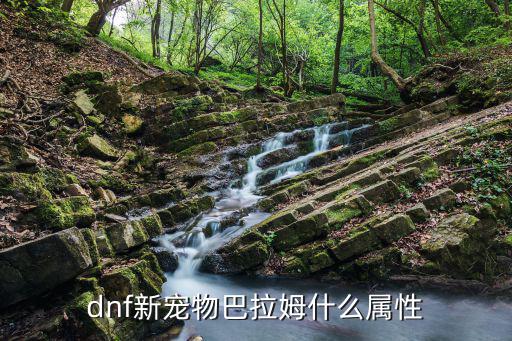 dnf新宠物巴拉姆什么属性