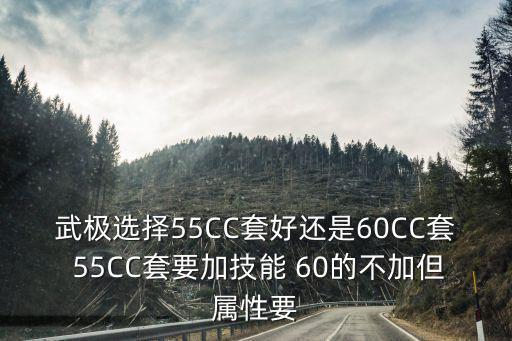 武极选择55CC套好还是60CC套 55CC套要加技能 60的不加但属性要