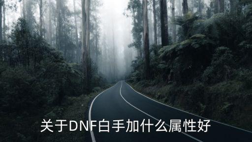 关于DNF白手加什么属性好