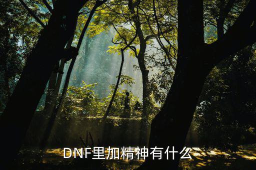 DNF里加精神有什么