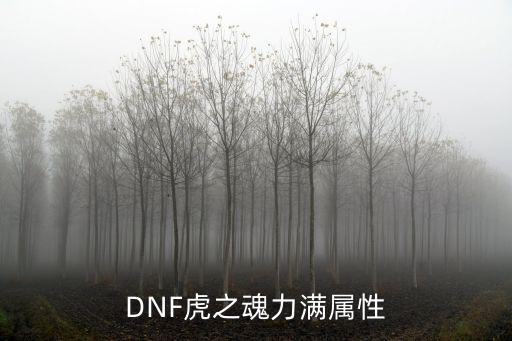 DNF虎之魂力满属性