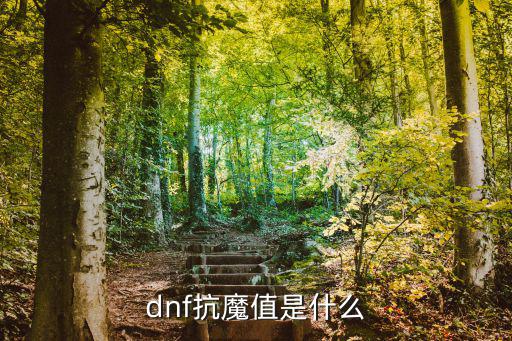 dnf抗魔值是什么