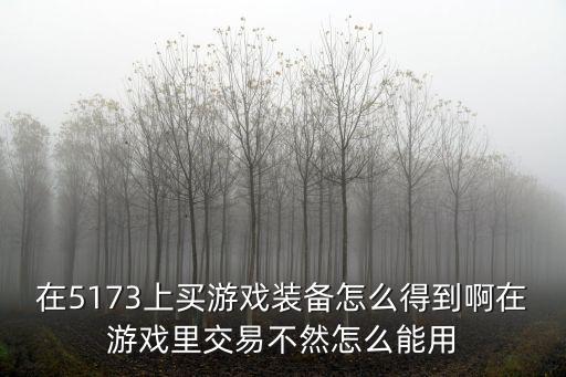 在5173上买游戏装备怎么得到啊在游戏里交易不然怎么能用